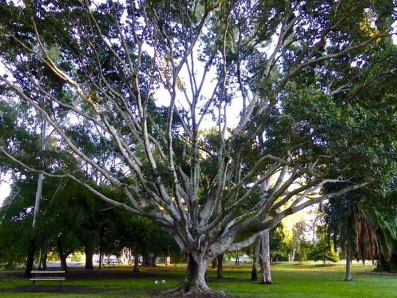 EDGE 42 Monaco Street, Surfers Paradise QLD 4217