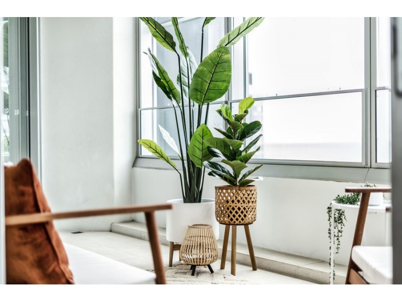 9 Q1 Hamilton Ave, Surfers Paradise QLD 4217