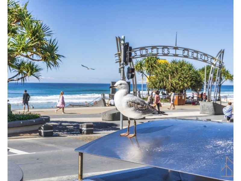 1005/9 Trickett St, Surfers Paradise QLD 4217