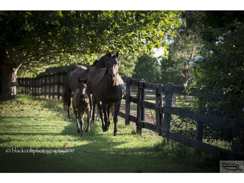 105 Edwards Road, Richmond Lowlands NSW 2753