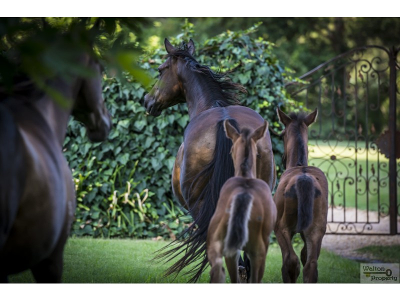 105 Edwards Road, Richmond Lowlands NSW 2753