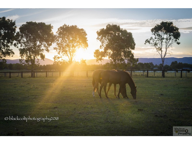 105 Edwards Road, Richmond Lowlands NSW 2753