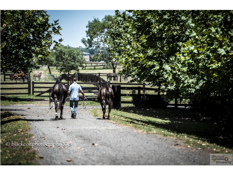 105 Edwards Road, Richmond Lowlands NSW 2753