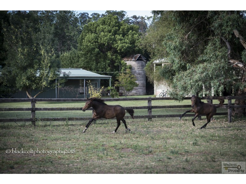 105 Edwards Road, Richmond Lowlands NSW 2753