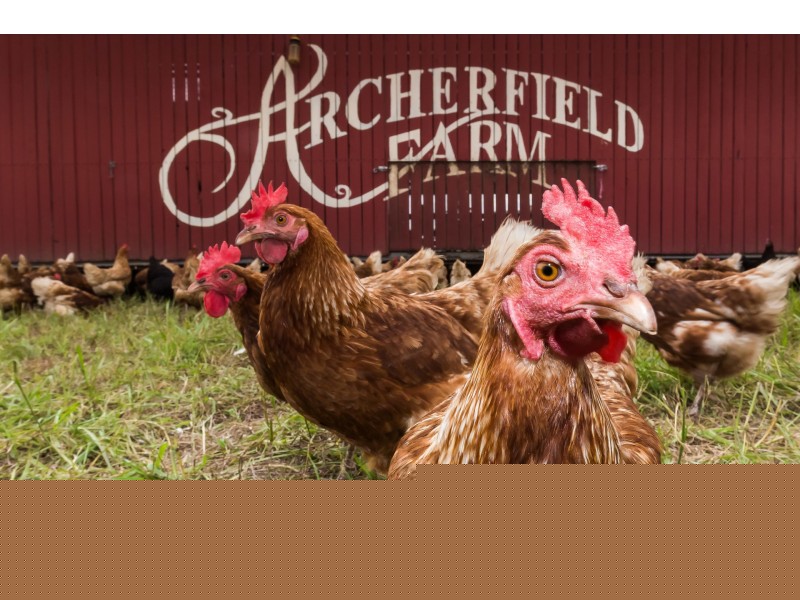 105 Edwards Road, Richmond Lowlands NSW 2753