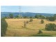 Kurrajong NSW 2758