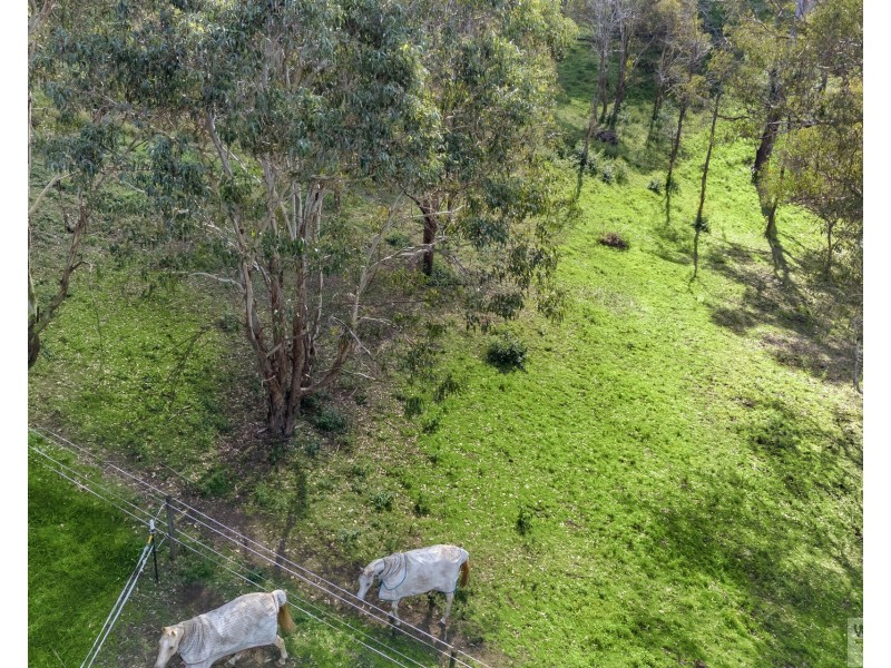 483  Grose Vale Road, Grose Vale NSW 2753