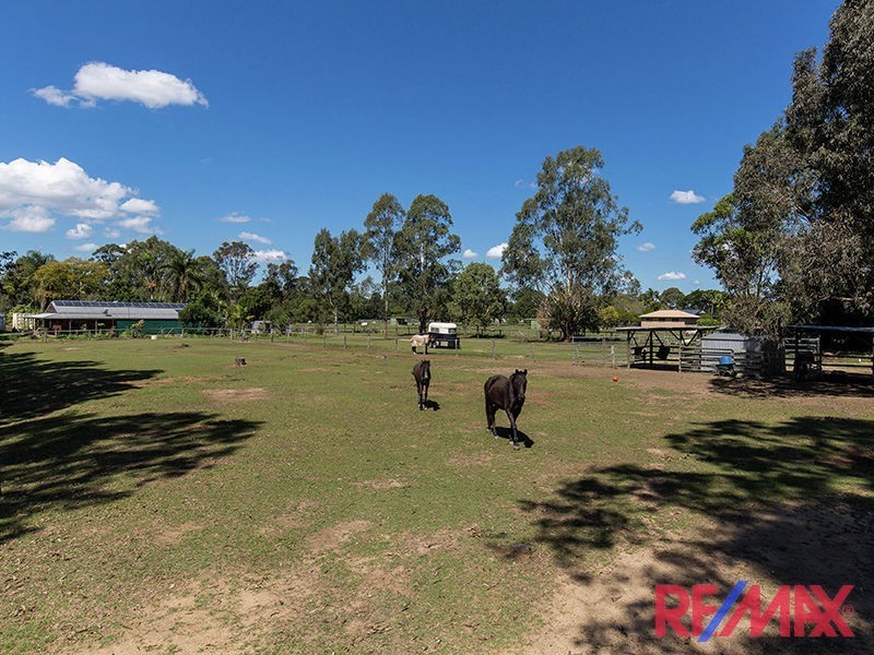 136 Mathew Crescent, Burpengary QLD 4505