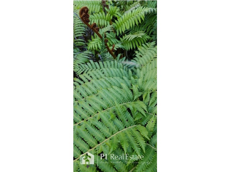 12 Junction Road, Griffin QLD 4503