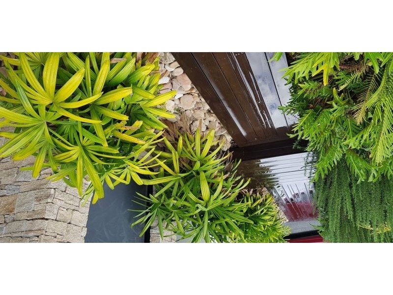 12 Junction Road, Griffin QLD 4503