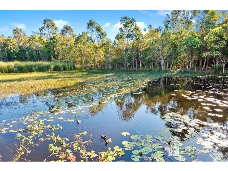 17 Planigale Crescent, North Lakes QLD 4509