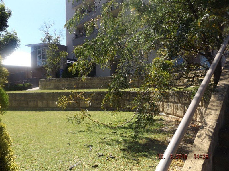 53/580 Newcastle, West Perth WA 6005