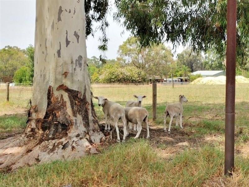 1682 Gnangara Road, Henley Brook WA 6055