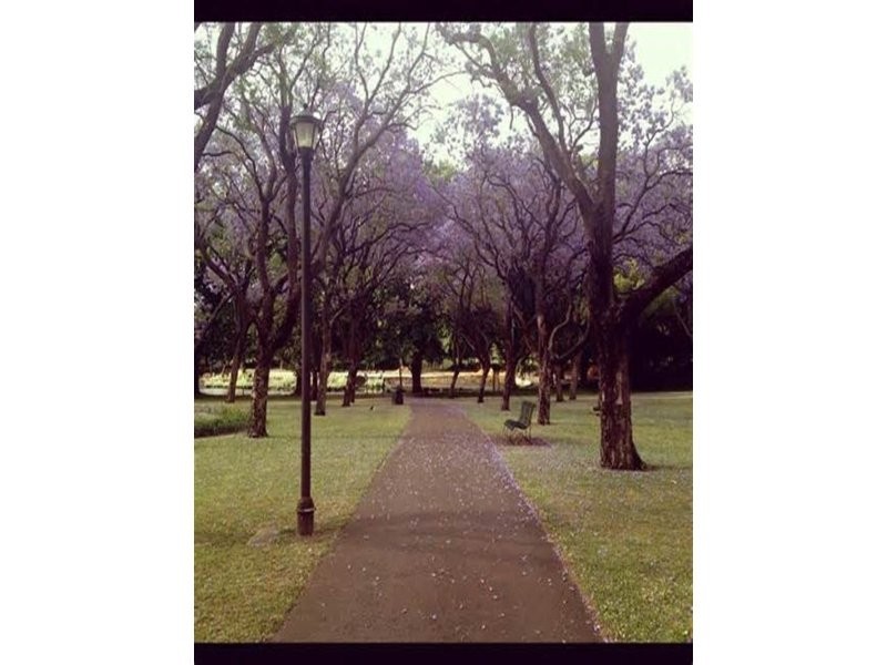 3/432 Beaufort  Street, Highgate WA 6003