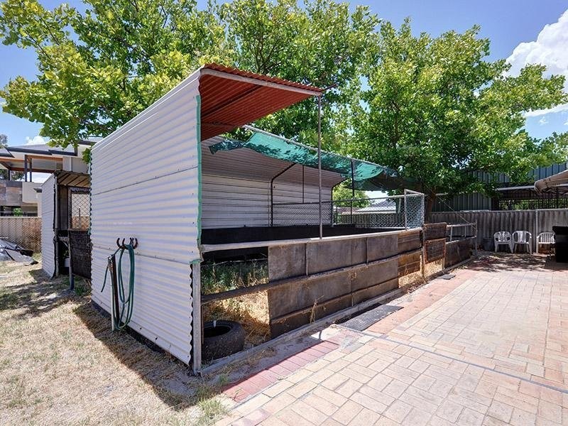 61 Matheson Road, Ascot WA 6104