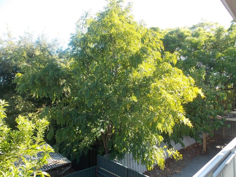 Unit 8 323 Stirling Street, Highgate WA 6003