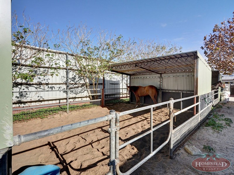 15 Aurum  Street, Ascot WA 6104