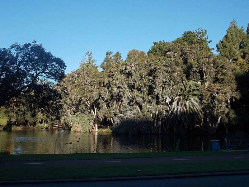 26/134 Mounts Bay Road, Perth WA 6000