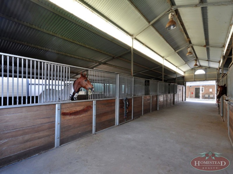 8 Leake Street, Ascot WA 6104