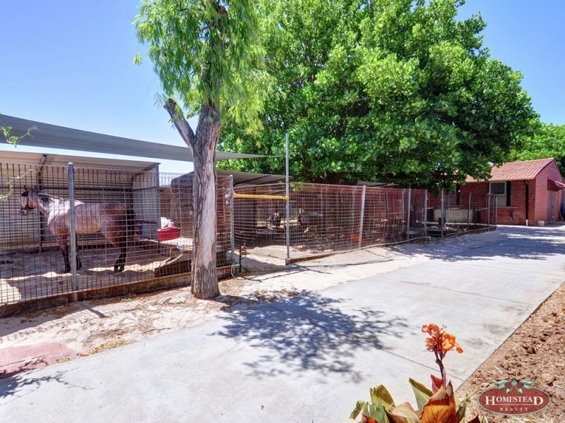 3 Kalgoorlie Street, Ascot WA 6104