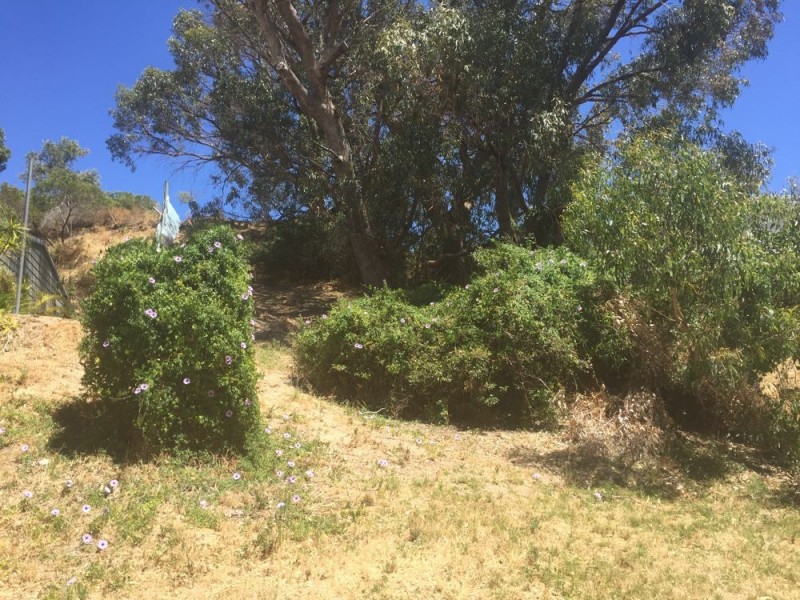 8 Hestia Way, San Remo WA 6210