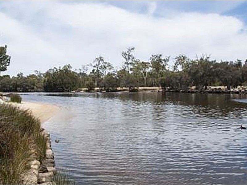 84 Tibradden Circle, Ascot WA 6104