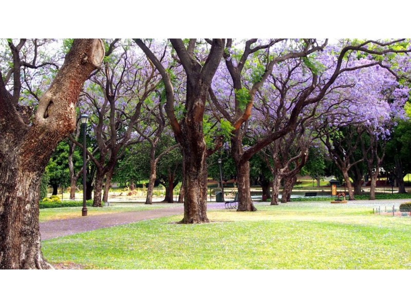 14/15 Mary Street, Highgate WA 6003