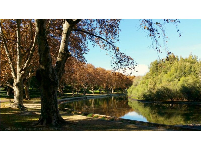 14/15 Mary Street, Highgate WA 6003