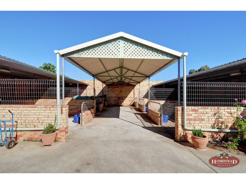 10 Kalgoorlie Street, Ascot WA 6104