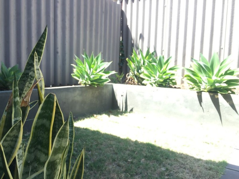 3/370 Stirling Street, Highgate WA 6003