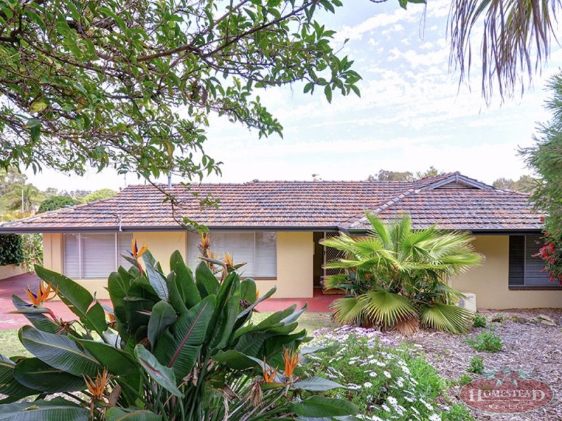 23 Brillee Street, Carine WA 6020