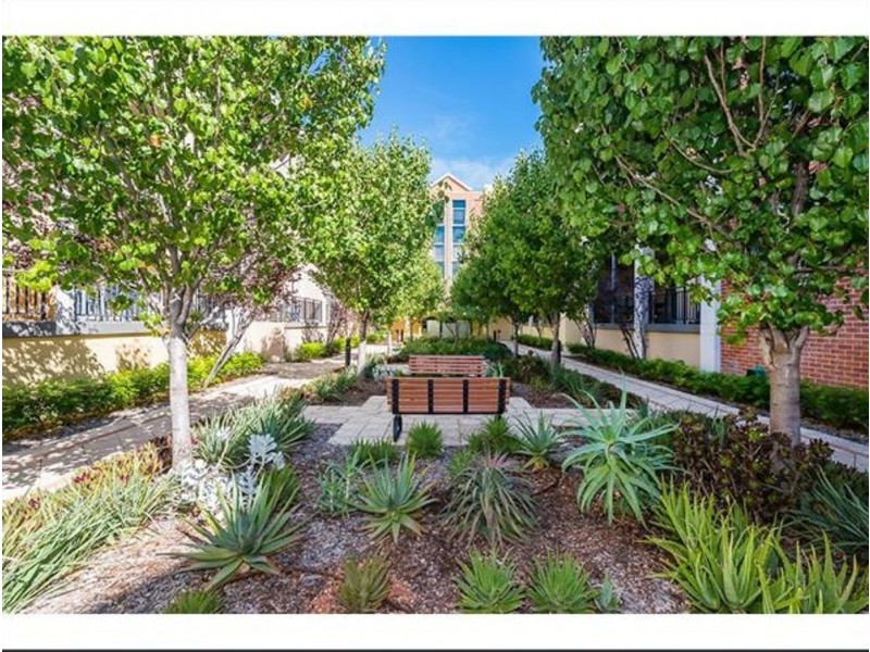 50/134 Aberdeen Street, Northbridge WA 6003