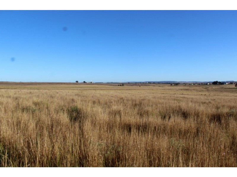 11 Tom Graysons Road, Loch Lomond QLD 4370