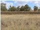 Lot 109 Cunningham Highway, Thane QLD 4370