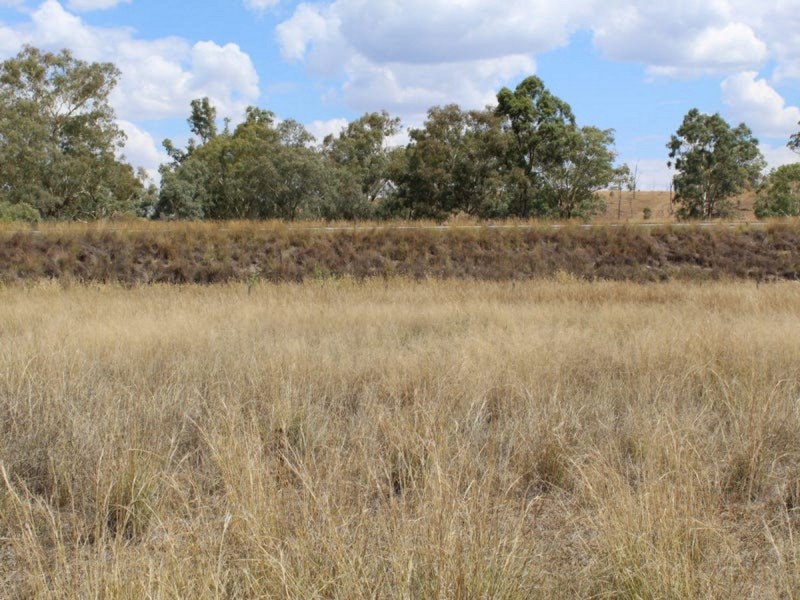 Lot 109 Cunningham Highway, Thane QLD 4370