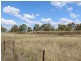 Lot 109 Cunningham Highway, Thane QLD 4370