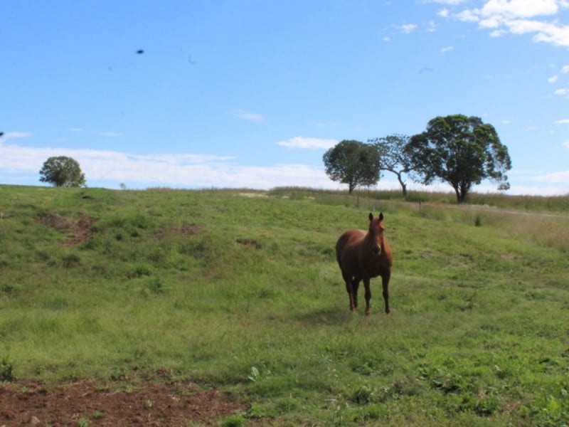 141 Warreners Road, Swanfels QLD 4371
