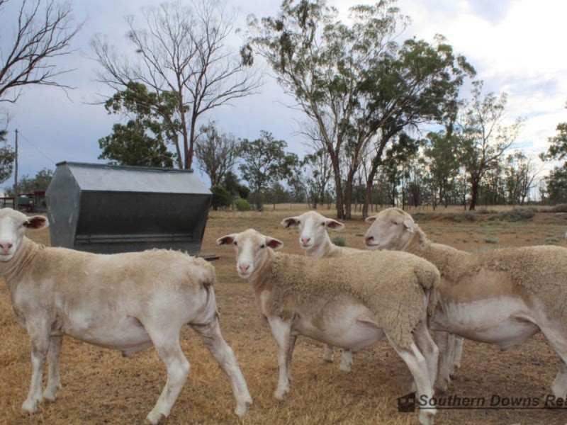 372 Thanes Creek Road, Thanes Creek QLD 4370