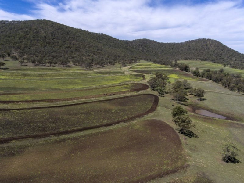 1311 Goomburra Road, Goomburra QLD 4362