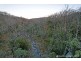 80, 53, 84, 83 Rodgers Creek Road, Rodgers Creek QLD 4370