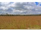 41 Giffords Road, Junabee QLD 4370