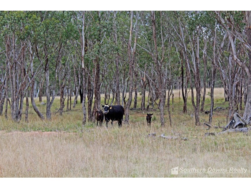 41 Giffords Road, Junabee QLD 4370