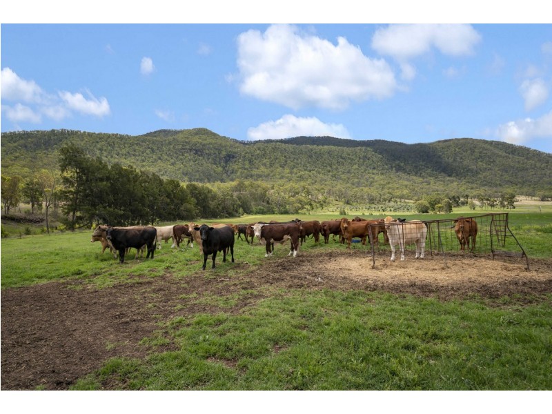 12 Top Swanfels Road, Swanfels QLD 4371