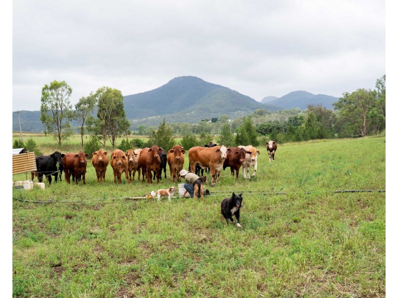 12 Top Swanfels Road, Swanfels QLD 4371