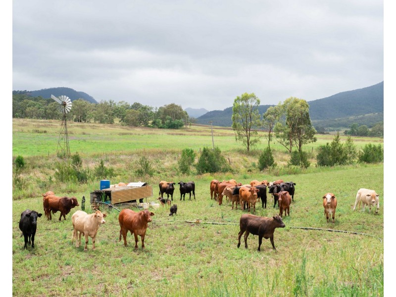 12 Top Swanfels Road, Swanfels QLD 4371