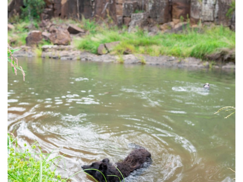 12 Top Swanfels Road, Swanfels QLD 4371