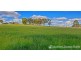 14255 Cunningham Highway, Warwick QLD 4370
