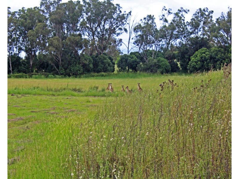 72 Dight Road, Rosenthal Heights QLD 4370