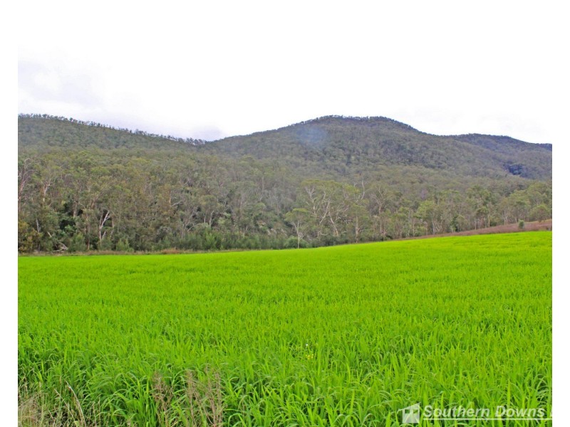 874 Top Swanfels Road, Swanfels QLD 4371