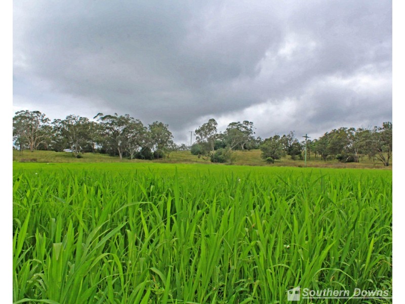 874 Top Swanfels Road, Swanfels QLD 4371